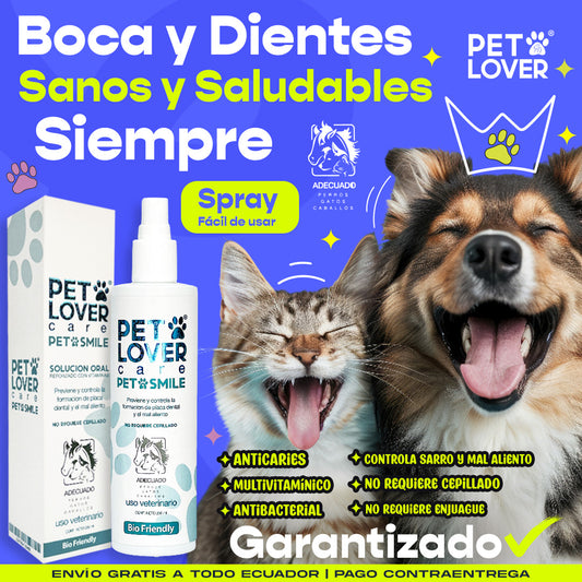 Spray Oral Todo en Uno para Mascotas | Smile Pet ® - $14,99